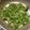 ビバリー's cooksnap of when they made 一株ペロリ☆ブロッコリーのホットサラダ.