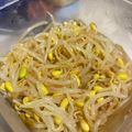 もちみー's cooksnap of when they made 簡単☆豆もやしの塩ナムル.