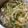 クック2H9MD0☆'s cooksnap of when they made コラーゲンたっぷり！鶏皮スープ.