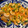 やぁこ0602's cooksnap of when they made むきえびと小松菜のオイスターマヨ炒め.
