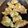 クック4COQHB☆'s cooksnap of when they made ザクザク☆クッキー.
