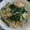 旭山ごま's cooksnap of when they made のびると菜の花のパスタ.