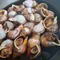 マリネ大好き❤️'s cooksnap of when they made ✿父が大好きな♡つぶ貝の甘辛煮✿.