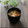 まろんかふぇ's cooksnap of when they made ～さつま揚げとキャベツのお味噌汁～.