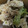 わわわわーい's cooksnap of when they made 簡単！激ウマ！鶏ささみブロッコリー炒め♪.