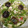 クックKY866E☆'s cooksnap of when they made レンジ 丼茶碗蒸し.