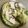 ctp＊'s cooksnap of when they made 白菜漬け.