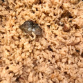 アリエちゃん's cooksnap of when they made サバ水煮缶の炊き込みご飯.