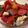 ロン子's cooksnap of when they made 混ぜるだけ簡単◎トマトと大葉のマリネ.