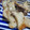 ただの人's cooksnap of when they made ☆エリンギのマヨチーズ焼き☆.