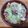 シゲちゃんファームのレシピ集's cooksnap of when they made 絶対失敗しない絶品牛丼の作り方.