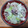 シゲちゃんファームのレシピ集's cooksnap of when they made 絶対失敗しない絶品牛丼の作り方.