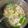 タラレバ03's cooksnap of when they made にらたまスープ.