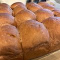 町子GLOVE's cooksnap of when they made 米粉配合・ココアミルクちぎりパン.