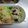 花音's cooksnap of when they made お弁当に簡単★ちくわマキマキ.