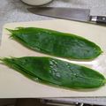 おかって菜園's cooksnap of when they made 笹の葉(生)の処理.