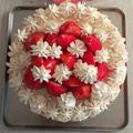 つっちーという人's cooksnap of when they made クリスマス☆ホワイトチョコのムースケーキ.