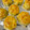チョビてる's cooksnap of when they made 秋と冬のスイートポテト(犬用).