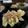 negoo's cooksnap of when they made レンジで簡単☆冷し白ナス☆.