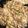 ふふふのりか's cooksnap of when they made 根菜たっぷりのおから煮☆優しい味つけ.