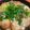 やよい・M's cooksnap of when they made ❈豆腐と油麩の卵とじ❈.