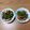 みぃくんのママ's cooksnap of when they made ゴーヤとちくわのきんぴら風炒め.
