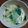 88はな88's cooksnap of when they made 鍋の残り汁で茶碗蒸し.