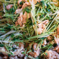 よっつん's cooksnap of when they made 豆苗と豚肉の炒め物.