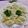 みっちゃん❇️68's cooksnap of when they made 🍀納豆&魚ニソ&もやし入餃子🍀.
