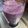 クックOBSDVC☆'s cooksnap of when they made ごくごく飲めるブルーベリージュース.