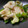にゃつめ〜's cooksnap of when they made 梅でさっぱり♪山芋ときゅうり和え.