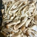 のんべぇヒロ's cooksnap of when they made 冷凍保存★きのこミックス.
