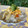 horseland's cooksnap of when they made 我が家のたけのこちらし寿司.