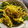 ふぁんころ's cooksnap of when they made 美人を作る 秋田の菊.