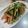 京ん家's cooksnap of when they made ゴボウ、セロリ、ニンジンのきんぴら.