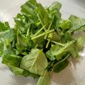 まさヒロ's cooksnap of when they made とにかく簡単 ★ ルッコラさっぱりサラダ.