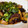 mantacarp's cooksnap of when they made ナスの美味し〜い！甘辛中華風炒め.