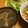 すぶたまる's cooksnap of when they made 