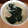 Ruriluru's cooksnap of when they made ☆簡単☆温泉卵のタレで作る茶碗蒸し.