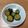 みぃくんのママ's cooksnap of when they made ２時間で食べられるきゅうりの中華風漬物.
