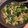 まんだちゃん's cooksnap of when they made 黄金比★じゃがいもとニラのオイスター炒め.