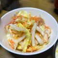 みょうが☆'s cooksnap of when they made お弁当にも♩大量消費！白菜コールスロー.