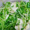 かーしゃ's cooksnap of when they made 豆苗と長芋の簡単サラダ.