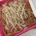 papikun's cooksnap of when they made もやしを２週間以上持たせる方法.
