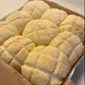 クックWA153Z☆'s cooksnap of when they made HB＊おやつメロンパン♪メロンちぎりパン.