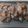 roll21's cooksnap of when they made さわら（さごし）☆の竜田揚げ.