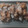 roll21's cooksnap of when they made さわら（さごし）☆の竜田揚げ.