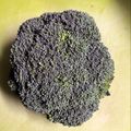 のんべぇヒロ's cooksnap of when they made ブロッコリーの選び方と鮮度の保ち方❤️.