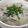 ちよう's cooksnap of when they made 家にあるものだけで作る豚汁.