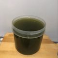 ユカtoマオマオ's cooksnap of when they made ダイエット！レンジでズホラ緑茶寒天.